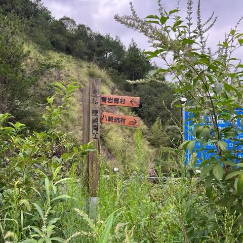 阳春三月 走古道
