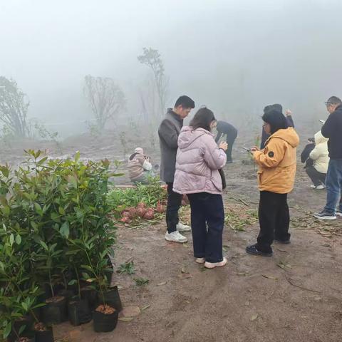 生态修复回头看，既要增绿也要复绿