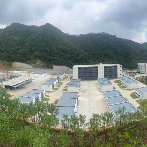 自规局工作人员前往城西街道督促指导占林复绿工作