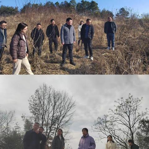 商城县社会治理中心每周工作动态第44期（12月16日—12月22日）