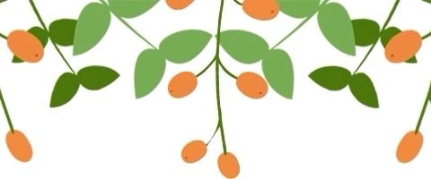 2026年春季开始招生啦！———巩义市小关镇中心幼儿园