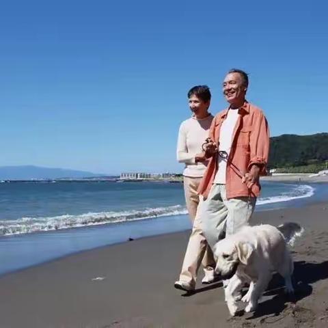 一个五零后退休者的随想
