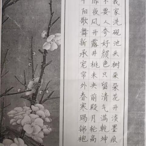 2023上学期四年级书法小结