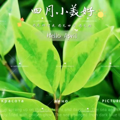 🌱西安恒大翡翠龙庭物业服务中心🌱  🍃四月服务月报🍃