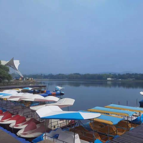 新抚区教师进修学校迎接建党102周年“一起向未来——庆七一健步走”主题活动纪实