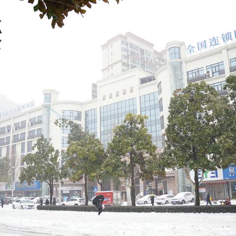 一场大雪，映照爱尔人的浪漫坚守