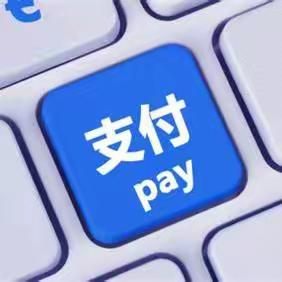 应县金都村镇银行新城支行开展“电子支付惠企利民”宣传活动