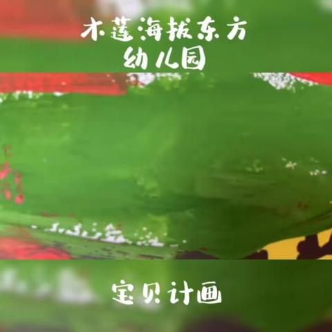 大班宝贝计画期末汇报