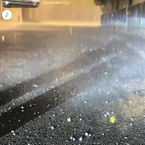 严春芳/四月八日