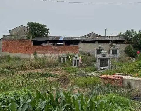 严春芳/癌症村