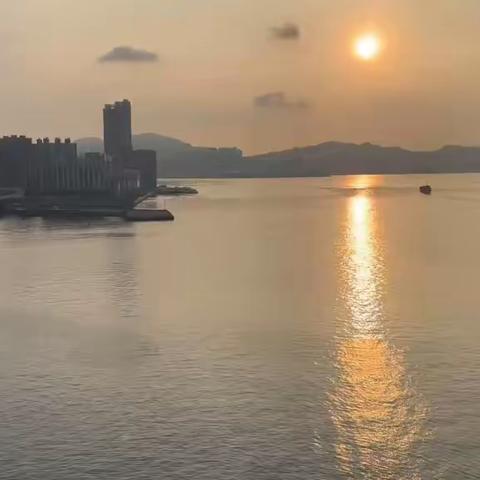 艾伦赵琼：东方明珠香港有感