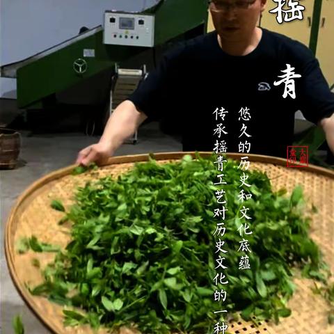 大岩堂手工制茶之摇青工艺