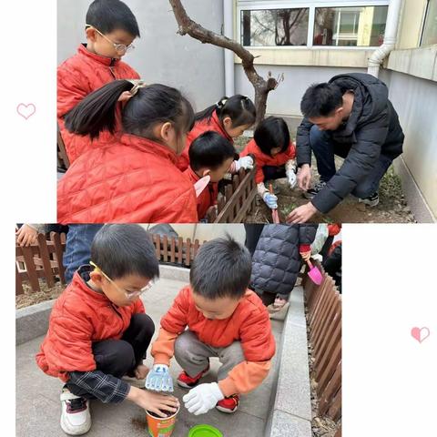 第四保育院“春暖花开 种植未来”种植活动报道