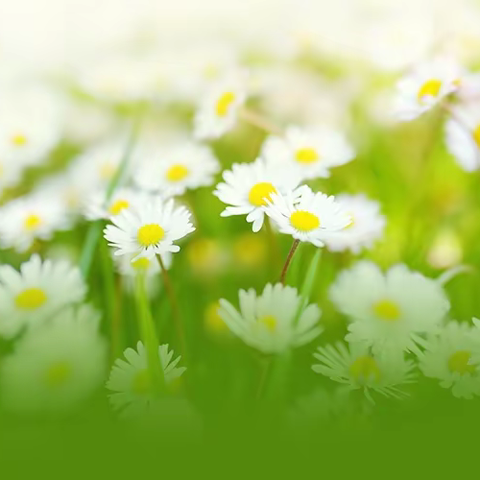 无锡滨湖万象汇M值班经理开店流程