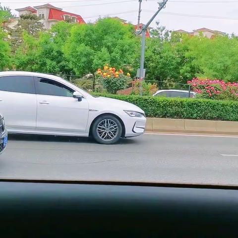 记录美好生活20230615
