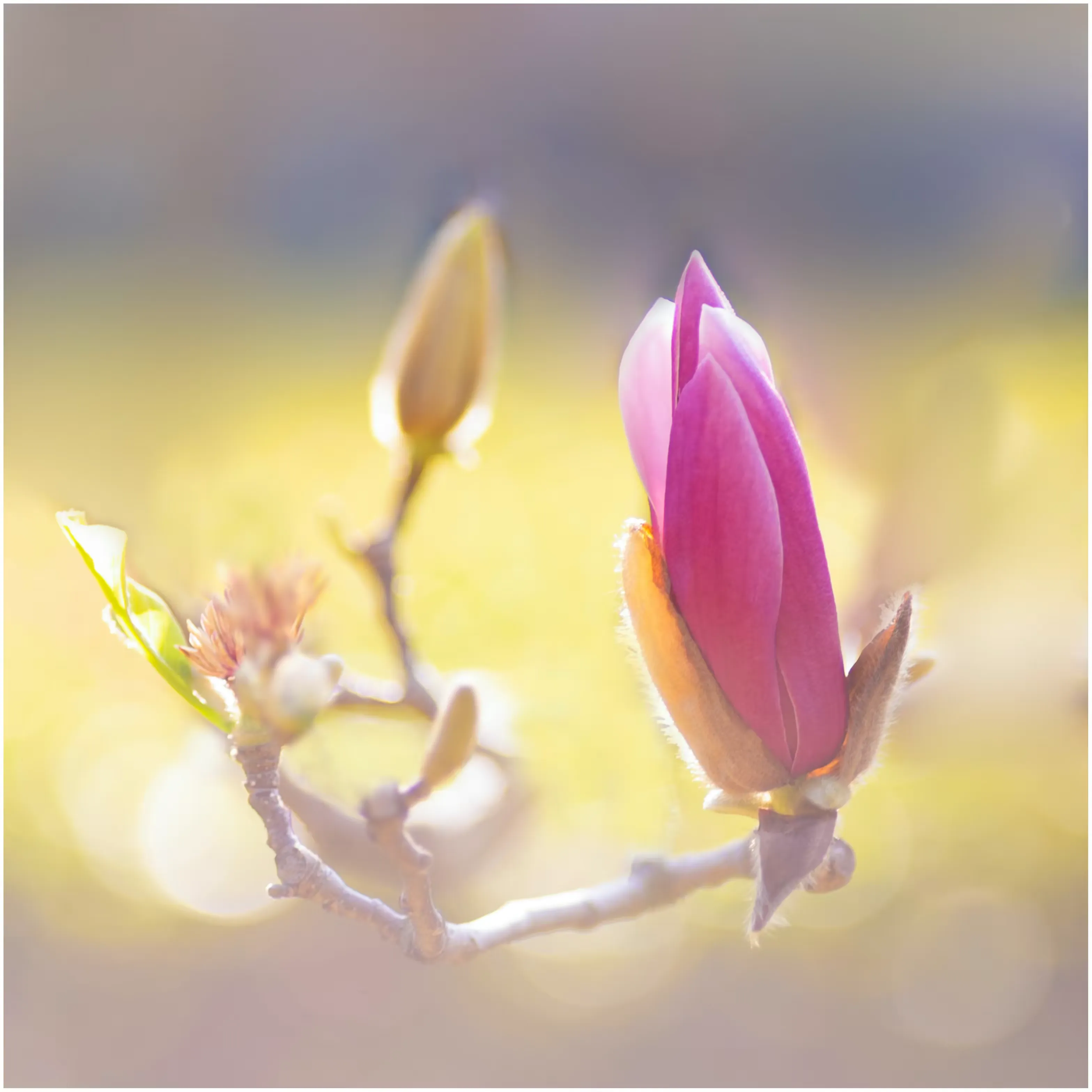 简篇-时光不老,影像留情
