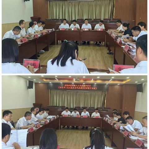 调研视察促发展 建言献策显担当——店张街道组织人大代表开展调研视察活动