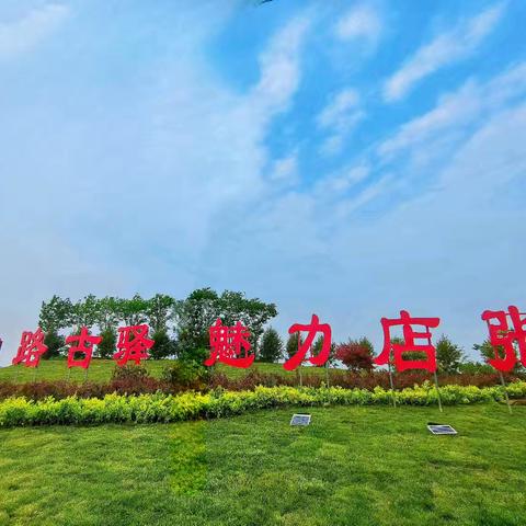 为民生“聚力”！ 店张街道组织市级人大代表开展视察活动