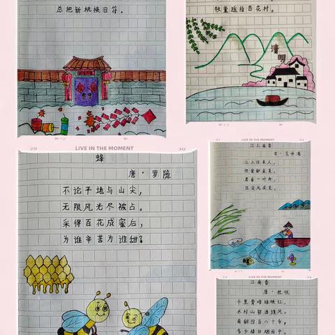 “语”你同行    “暑”你最棒 ——三三班语文暑假作业展示（一）