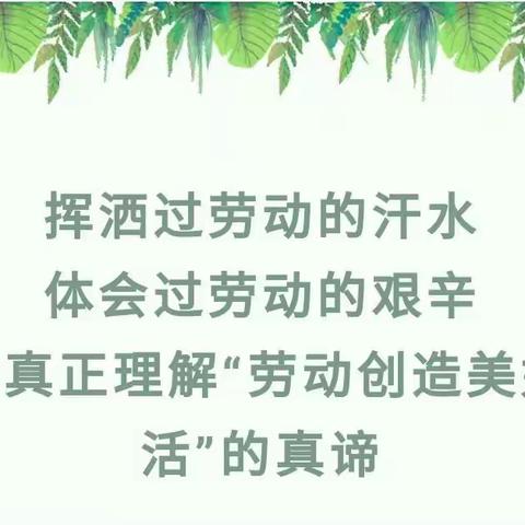“躬耕之乐 幸福收获”劳动基地种植——九台区第二实验小学二年七班