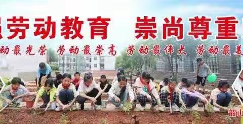 脚粘泥土，手撷芬芳——劳动课，我们这样上（种植篇十四）