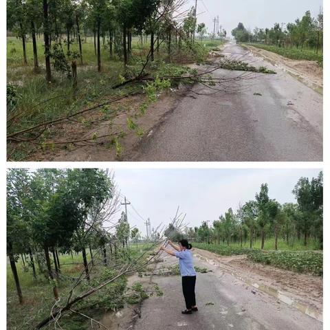 【网格巡查】暴雨过后清理道路障碍查看安全隐患