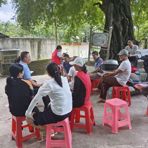 南林乡东方村委会南通村小组开展《信访工作条例》普法宣传活动