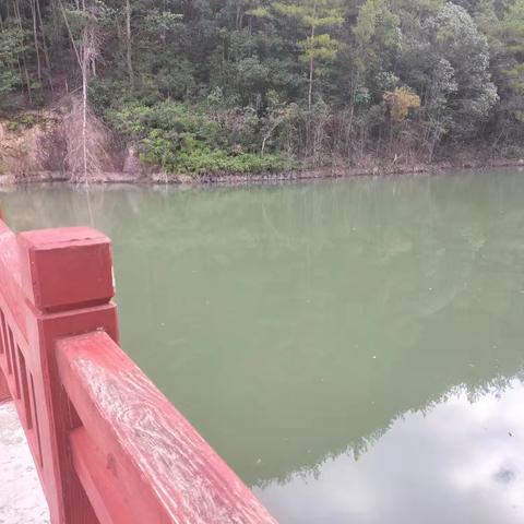 暑假水库安全升级：市镇水务部门筑牢游玩防护网