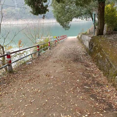 村渡口的“新年焕新”：村民携手打造休闲新空间