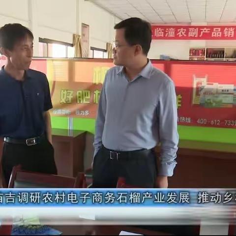 苗吉区长一行来临潼惠农公司调研考察