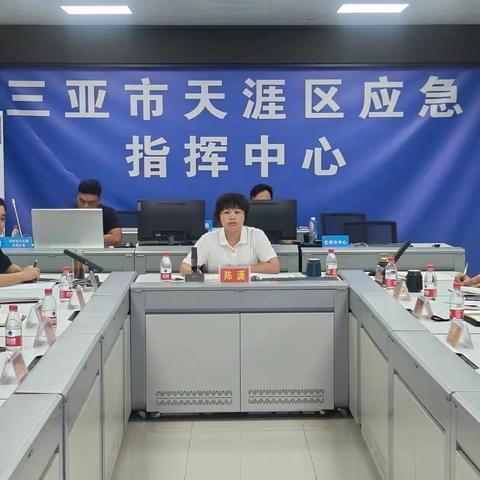 天涯区召开防御2023年第4号台风“泰利”工作部署会议