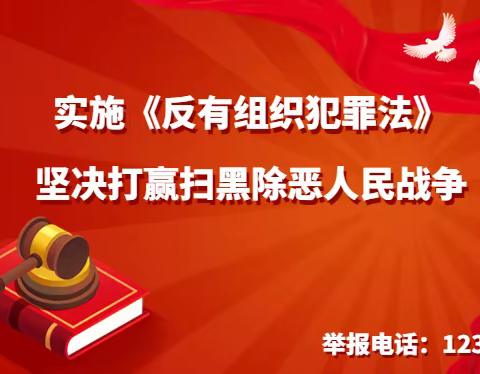 《中华人民共和国反有组织犯罪法》第一章