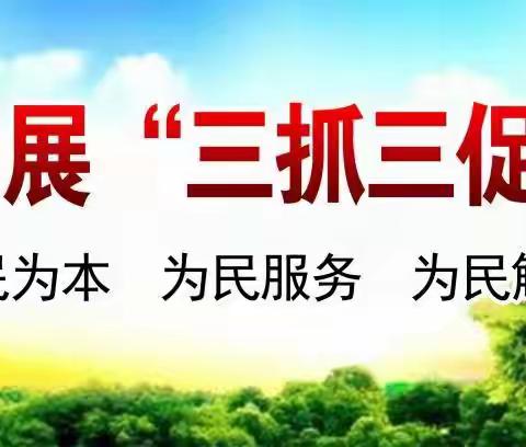 “三抓三促”行动走深走实——卓尼县民政局深入开展2023年上半年民政重点工作任务落实情况督查