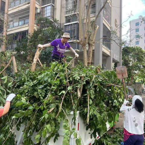 众志成城，家园重建——西岭华庭小区抗灾纪实