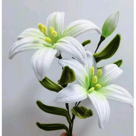 【实小·共育】“家”点精彩   “育”见未来！———高陵区第一实验小学家长讲堂之走进爸爸妈妈的职业（三年级2班）（第二期）