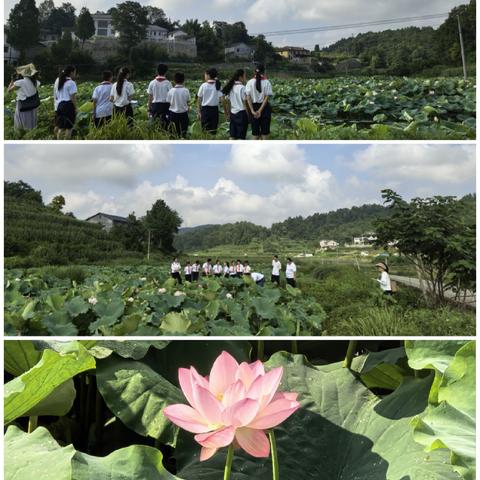 暑期公益结硕果  少年成长绽新姿—红花岗区青少年活动中心2025年暑期公益性（免费）兴趣班精彩瞬间