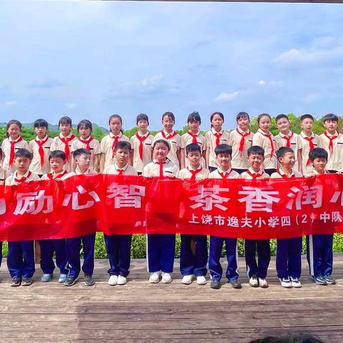 劳动励心智 茶香润心灵——上饶市逸夫小学四（2）中队劳动实践活动
