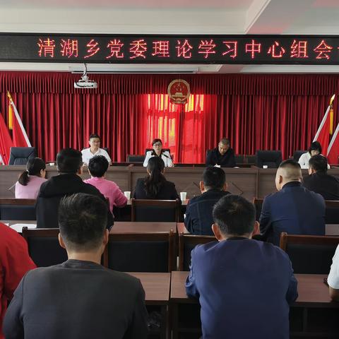 抓好新契机，谱好新篇章——清湖乡召开党委理论学习中心组会议