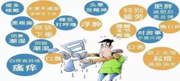 健脾祛湿代茶饮