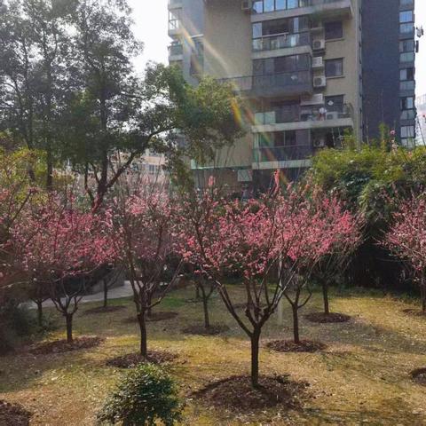 融科天城一期2025年2月物业服务报告