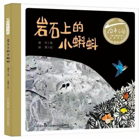 洪江市幼儿园小五班绘本分享《岩石上的小蝌蚪》