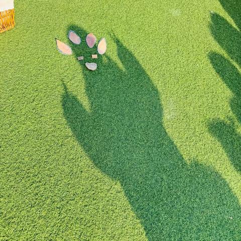 光影交错｜走进光影探索之旅