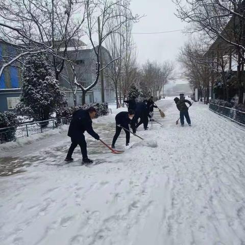 铸造车间积极组织员工清扫厂区主干道积雪