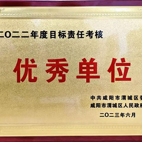 渭城区行政审批服务局荣获全区2022年度目标责任考核优秀单位