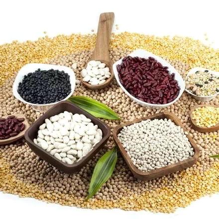 指尖玩米豆    童心绘山河 ‍ ‍                       鑫源小学三3班 ‍