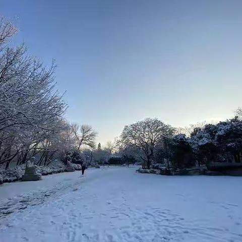 任村乡河东学校应对大雪降温天气致家长的一封信