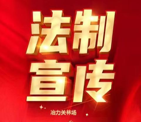 增强法治意识，共建和谐林场 ——冶力关林场开展学法、知法、懂法、守法活动