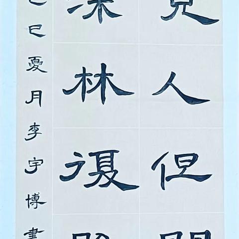 墨韵染夏意 书香映日长