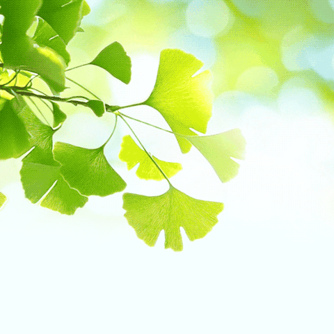 茁新芽向阳 沐春歌奋蹄