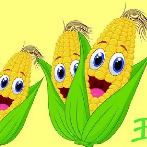 【党建+品质教育】“玉米的一生”——宾阳县中华镇中心幼儿园大二班班本课程